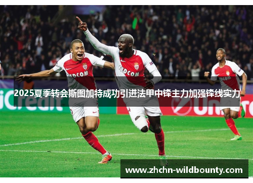 2025夏季转会斯图加特成功引进法甲中锋主力加强锋线实力 2025夏季转会斯图加特成功引进法甲中锋主力加强锋线实力